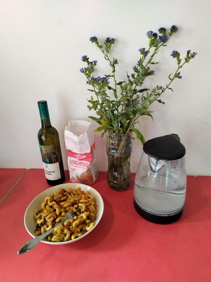 הוסטל בלגרד Monica'S House מראה חיצוני תמונה