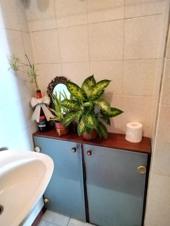 הוסטל בלגרד Monica'S House מראה חיצוני תמונה